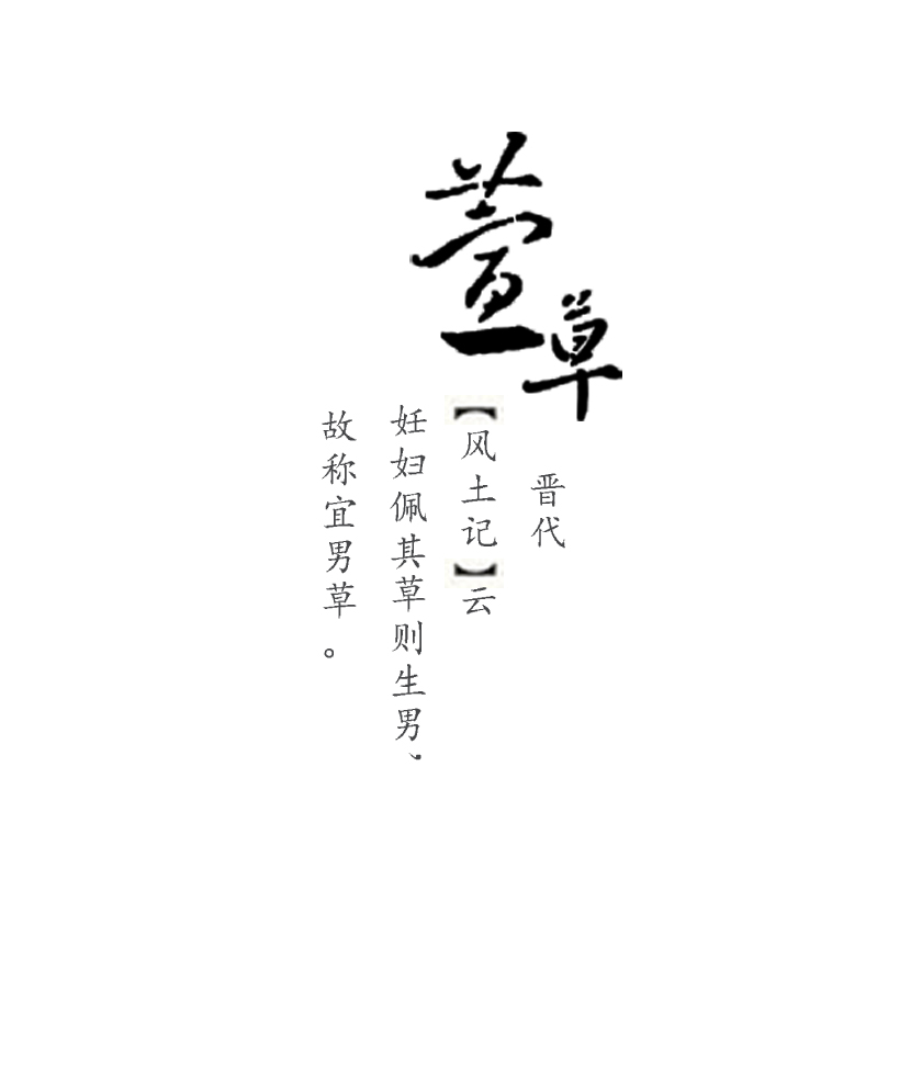 子.jpg