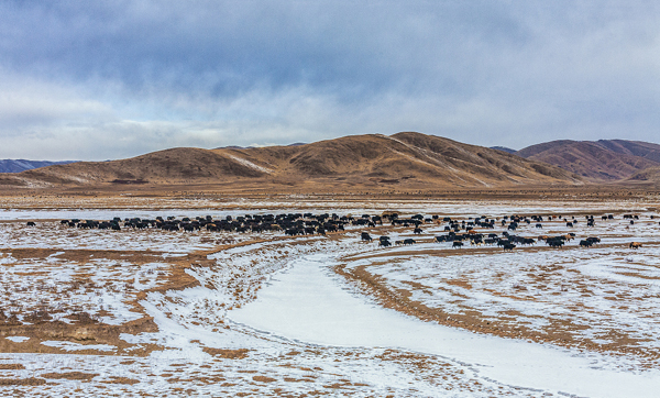 VCG21038e182f3.jpg