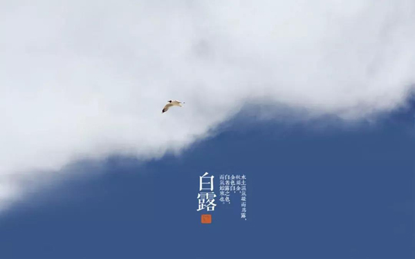 微信图片_20200907094621.jpg