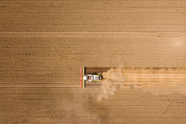 VCG41N1002206878.jpg