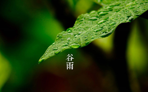 609a06ae50bf4c5bbd11ee747e24c6c8_th.jpg